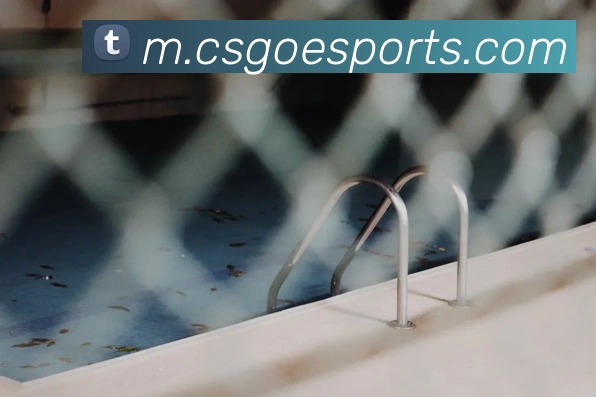 体育下注服务体系